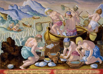 Indigènes pêchant des palourdes géantes sur l